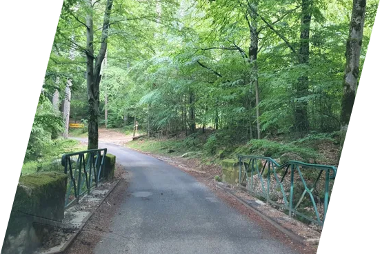 les-transports-du-golfe-corse-toutes-distances